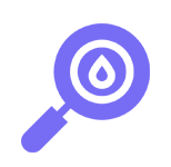 Visual Identity